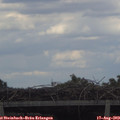 17_20-mast.jpg