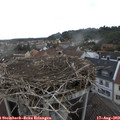 17_25-nest.jpg