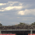 17_45-mast.jpg