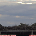 17_55-mast.jpg