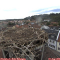 18_10-nest.jpg