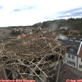 18_15-nest.jpg