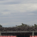 18_20-mast.jpg