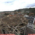 18_20-nest.jpg
