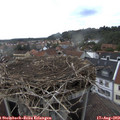 18_35-nest.jpg