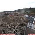 18_40-nest.jpg