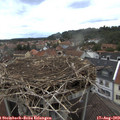 18_45-nest.jpg