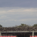 18_50-mast.jpg