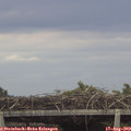 18_55-mast.jpg