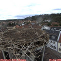 19_00-nest.jpg