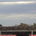 19_05-mast.jpg