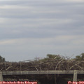 19_15-mast.jpg