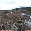19_15-nest.jpg
