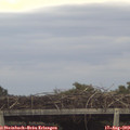 19_20-mast.jpg