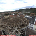 19_20-nest.jpg