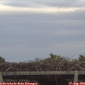 19_25-mast.jpg