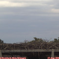 19_30-mast.jpg
