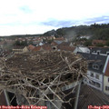 19_35-nest.jpg