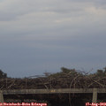 19_40-mast.jpg