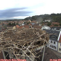 06_25-nest.jpg
