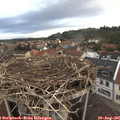 06_30-nest.jpg