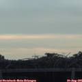 06_35-mast.jpg