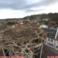 06_35-nest.jpg