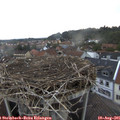 06_40-nest.jpg