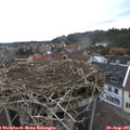 06_45-nest.jpg