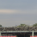 06_50-mast.jpg
