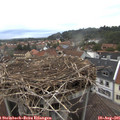 06_50-nest.jpg