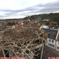 07_00-nest.jpg