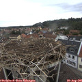 07_05-nest.jpg
