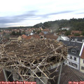 07_15-nest.jpg