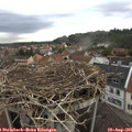 07_20-nest.jpg