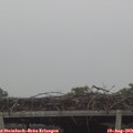 12_25-mast.jpg