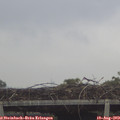 13_10-mast.jpg