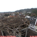 13_15-nest.jpg
