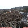 13_20-nest.jpg