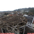 13_25-nest.jpg