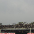 13_30-mast.jpg