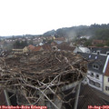13_30-nest.jpg