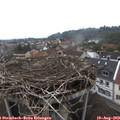 13_35-nest.jpg