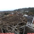 13_40-nest.jpg