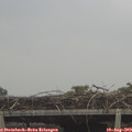 13_45-mast.jpg