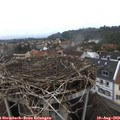 13_45-nest.jpg