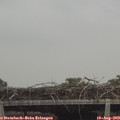 13_55-mast.jpg