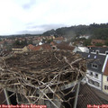 14_00-nest.jpg