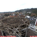 14_05-nest.jpg