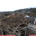 14_10-nest.jpg